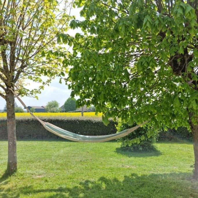 Grande Maison De Plain Pied Avec Jardin Arbore. Champignelles Exteriör bild